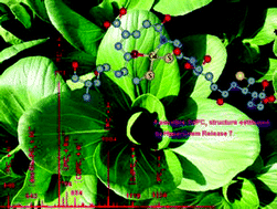 Graphical abstract: SEC-ICP-MS and ESI-MS/MS for analyzing in vitro and in vivo Cd-phytochelatin complexes in a Cd-hyperaccumulator Brassica chinensis