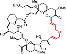 Graphical abstract: Toward the total synthesis of spirastrellolide A. Part 3: Intelligence gathering and preparation of a ring-expanded analogue