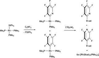 Graphical abstract: Sequential C–F activation and borylation of fluoropyridines via intermediate Rh(i) fluoropyridyl complexes: a multinuclear NMR investigation