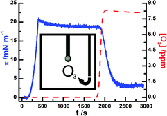 Graphical abstract: Kinetic analysis of the ozone processing of an unsaturated organic monolayer as a model of an aerosol surface