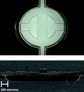 Graphical abstract: Monolithic Teflon® membrane valves and pumps for harsh chemical and low-temperature use