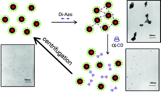 Graphical abstract: Reversible aggregation of gold nanoparticles driven by inclusion complexation