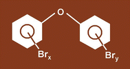 Graphical abstract: A novel calibration procedure for trace analytical measurements: application to the analysis of polybrominated diphenyl ethers by GC–MS