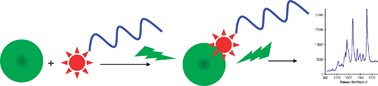 Graphical abstract: Quantitative SERRS for DNA sequence analysis