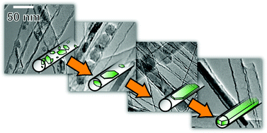 Graphical abstract: Crystal formation and growth during the hydrothermal synthesis of β-Ni(OH)2 in one-dimensional nano space