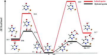 Graphical abstract: A theoretical study of hydration effects on the prototropic tautomerism of selenouracils