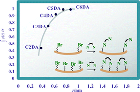 Graphical abstract: Estimation of spacing between 3-bromopropyl functions grafted on mesoporous silica surfaces by a substitution reaction using diamine probe molecules