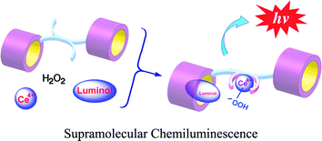 Graphical abstract: Cerium complexes of cyclodextrin dimers as efficient catalysts for luminol chemiluminescence reactions