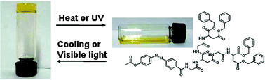 Graphical abstract: Photoreversible dendritic organogel