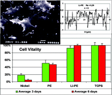 Graphical abstract: Improvement of biological response of YAG laser irradiated polyethylene