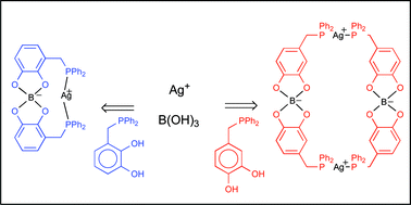 Graphical abstract: Boron templated catechol phosphines as bidentate ligands in silver complexes