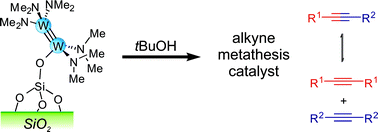 Graphical abstract: A well-defined silica-supported dinuclear tungsten(iii) amido species: synthesis, characterization and reactivity