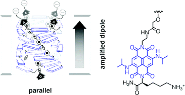 Graphical abstract: Rigid-rod push–pull naphthalenediimide photosystems