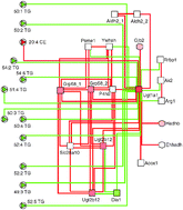 Graphical abstract: Correlation network analysis for data integration and biomarker selection