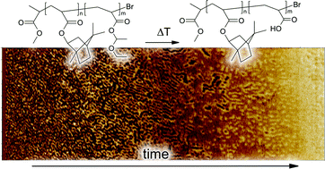 Graphical abstract: Morphological transition during the thermal deprotection of poly(isobornyl acrylate)-b-poly(1-ethoxyethyl acrylate)