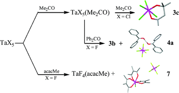 Graphical abstract: Reactivity of niobium(v) and tantalum(v) halides with carbonyl compounds: Synthesis of simple coordination adducts, C–H bond activation, C [[double bond, length as m-dash]] O protonation, and halide transfer