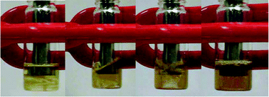 Graphical abstract: Ultrasound enhancement of cellulose processing in ionic liquids: from dissolution towards functionalization