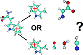 Graphical abstract: Characterization of neutral fragments issued from the photodissociation of protonated tryptophane