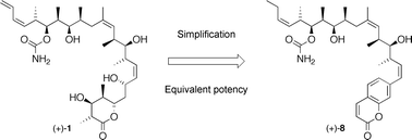 Graphical abstract: Coumarin-derived discodermolide analogues possessing equivalent antiproliferative activity to the natural product—a further simplification of the lactone region