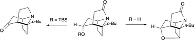 Graphical abstract: Synthetic approaches to the polycyclic alkaloid stemofoline