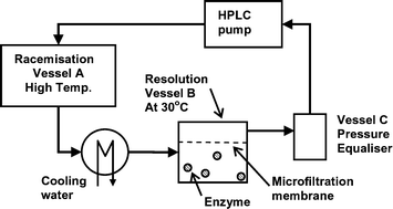 Graphical abstract: Towards a continuous dynamic kinetic resolution of 1-phenylethylamine using a membrane assisted, two vessel process