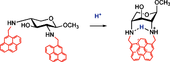 Graphical abstract: A novel proton-selective sensor based on a sugar with hinge flexibility