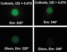 Graphical abstract: Angular-dependent metal-enhanced fluorescence from silver colloid-deposited films: opportunity for angular-ratiometric surface assays