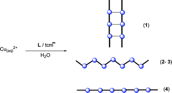 Graphical abstract: Ligand effects on the structures and magnetic properties of tricyanomethanide-containing copper(ii) complexes