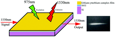 Graphical abstract: Solution-processable erbium–ytterbium complex for potential planar optical amplifier application