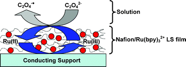 Graphical abstract: One-step formation of ultra-thin chemically functionalized redox-active Langmuir–Schaefer Nafion films