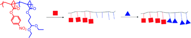 Graphical abstract: Reactive block copolymer scaffolds