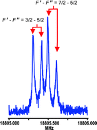 Graphical abstract: The pure rotational spectrum of the actinide-containing compound thorium monoxide