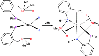 Graphical abstract: Agostic Si–H bond coordination assists C–H bond activation at ruthenium in bis(phosphinobenzylsilane) complexes