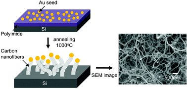 Graphical abstract: Area-selective growth of amorphous carbon nanofibers via catalytic decomposition of polyimide thin film