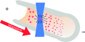 Graphical abstract: Separation and detection of individual submicron particles by capillary electrophoresis with laser-light-scattering detection