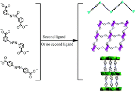 Graphical abstract: Coordination polymers constructed by linking metal ions with azodibenzoate anions