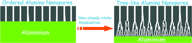 Graphical abstract: Tree-like alumina nanopores generated in a non-steady-state anodization