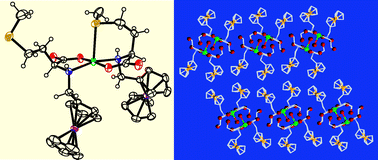 Graphical abstract: Ferrocene substitution in amino acids strengthens the axial binding in Cu(ii) complexes and separates the hydrophobic and hydrophilic region in the crystals