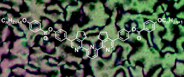 Graphical abstract: Liquid-crystalline terpyridines