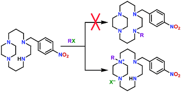 Graphical abstract: Unsymmetrically substituted side-bridged cyclam derivatives and their Cu(ii) and Zn(ii) complexes