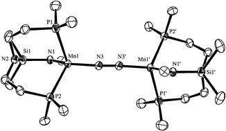 Graphical abstract: Transition metal dinitrogen complexes supported by a versatile monoanionic [N2P2] ligand