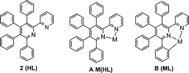 Graphical abstract: Rhodium and palladium complexes of a pyridyl-centred polyphenylene derivative