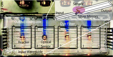 Graphical abstract: Polymer waveguide backplanes for optical sensor interfaces in microfluidics