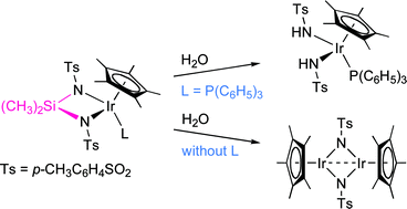 Graphical abstract: Silylenediamido [(CH3)2Si(NTs)22−; Ts = p-CH3C6H4SO2] complexes of iridium: synthesis, structures and facile Si–N bond cleavage