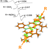 Graphical abstract: A versatile electronic hole in one-electron oxidized NiIIbis-salicylidene phenylenediamine complexes