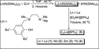 Graphical abstract: Synthesis and characterisation of lanthanide phenolate compounds and their catalytic activity towards ring-opening polymerisation of cyclic esters