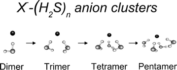 Graphical abstract: Structures, energetics, and infrared spectra of the Cl−–(H2S)n and Br−–(H2S)n anion clusters from ab initio calculations