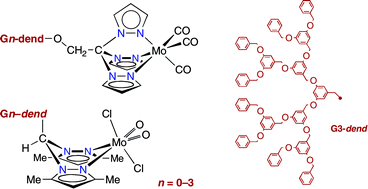 Graphical abstract: Dendronized scorpionate complexes of molybdenum in low and high oxidation states