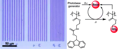 Graphical abstract: Novel base-sensitive polymers generating amino groups from their side chains in a nonlinear manner and their application to photoimaging materials