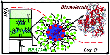 Graphical abstract: Ethoxylated copolymer surfactants for the HFA134a–water interface: interfacial activity, aggregate microstructure and biomolecule uptake